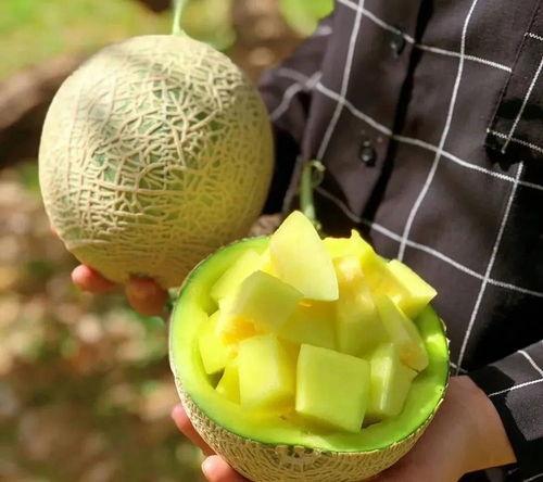 娱乐吃瓜壁纸高清